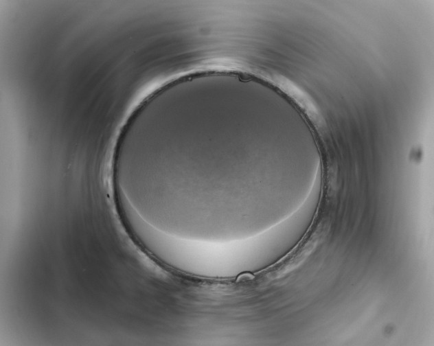 X0000102371334200808151826