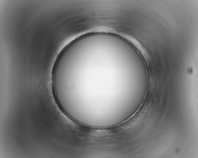 X0000102371335200808151826