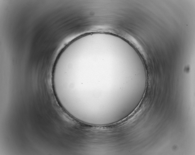 X0000102371336200808151826