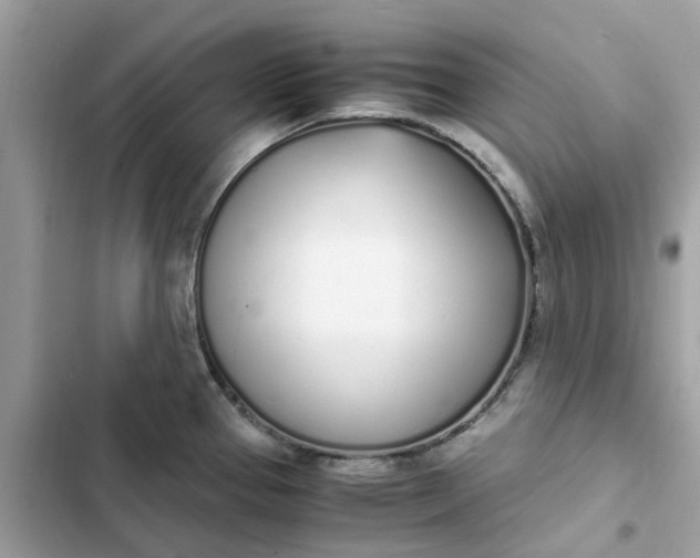 X0000102371337200808151826