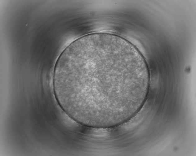 X0000102371338200808151826