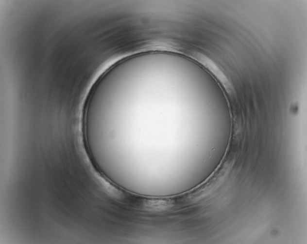 X0000102371339200808151826