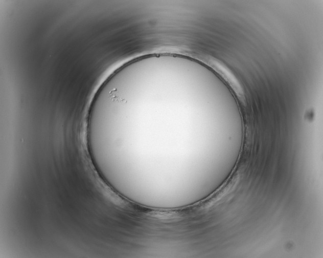 X0000102371340200808151826