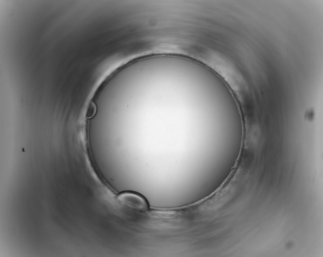 X0000102371342200808151826