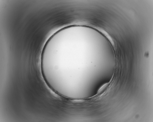 X0000102371343200808151826