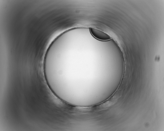 X0000102371344200808151826