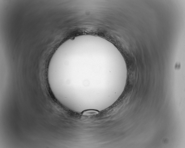 X0000102371345200808151826