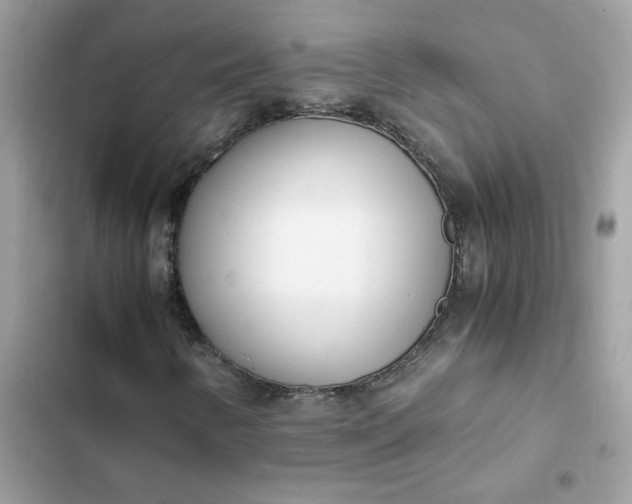 X0000102371346200808151826