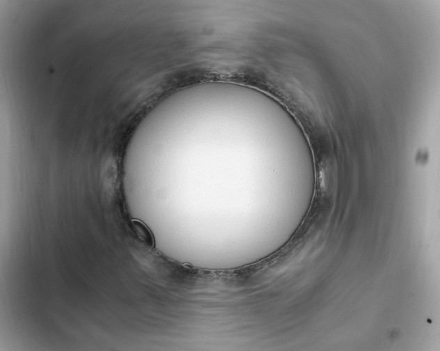 X0000102371347200808151826