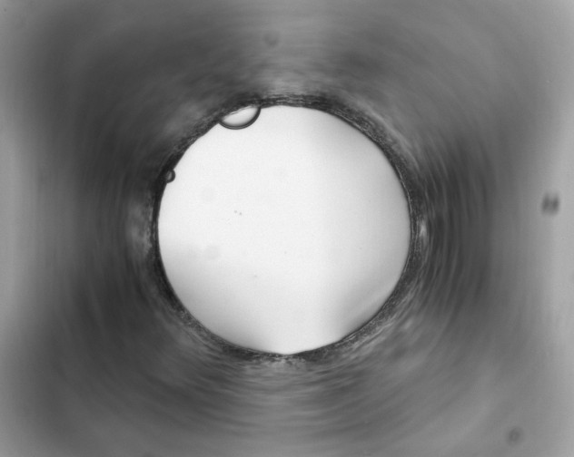 X0000102371348200808151826