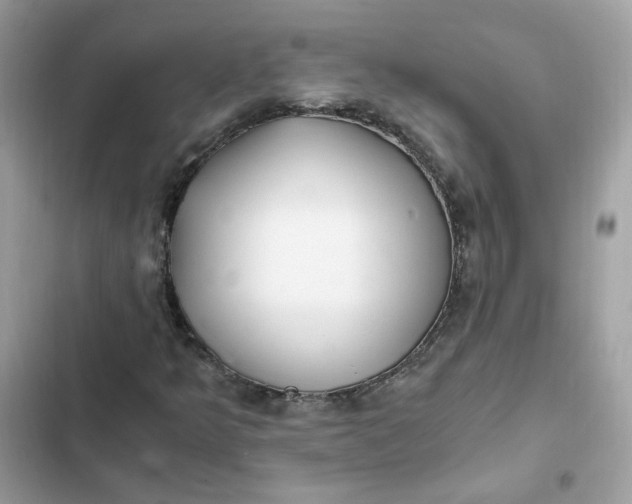 X0000102371349200808151826