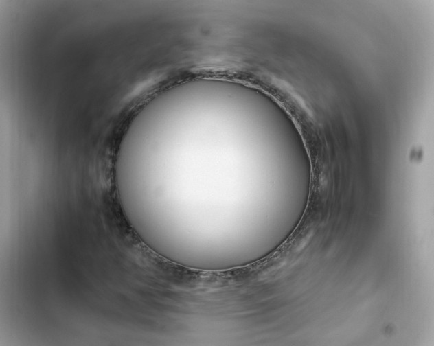 X0000102371350200808151826