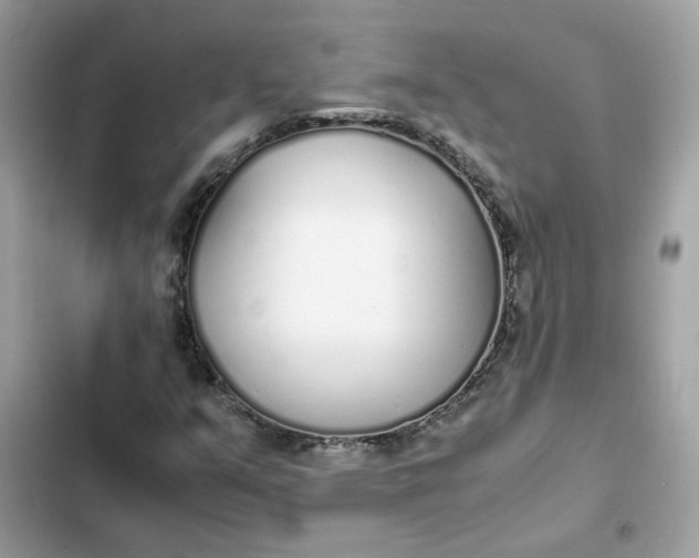 X0000102371351200808151826