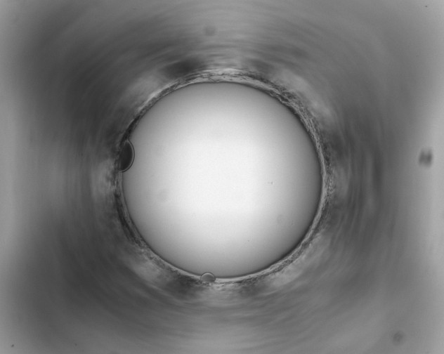 X0000102371353200808151826