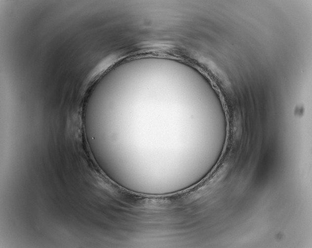 X0000102371354200808151826