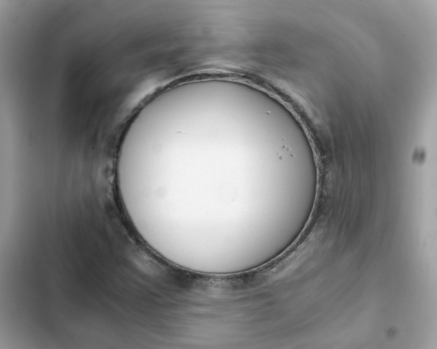 X0000102371355200808151826