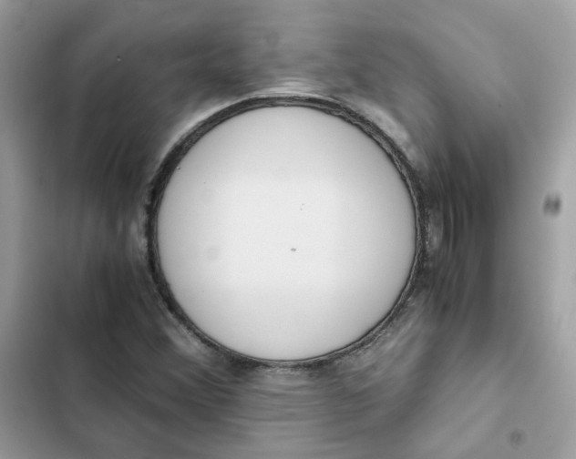 X0000102371356200808151826