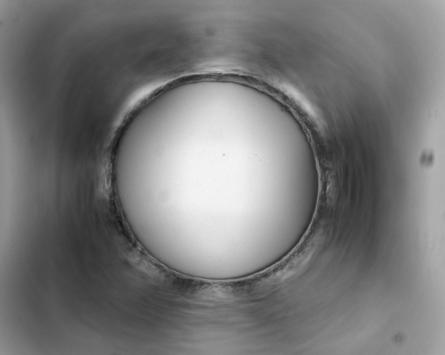 X0000102371358200808151826