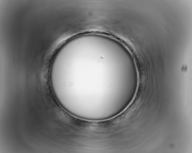 X0000102371359200808151826