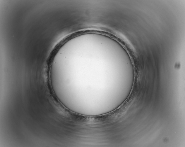 X0000102371360200808151826