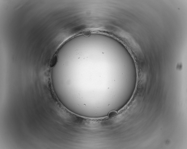 X0000102371361200808151826