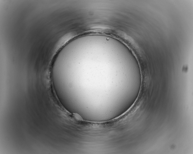 X0000102371362200808151826