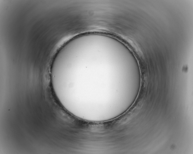 X0000102371363200808151826