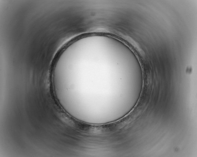 X0000102371364200808151826