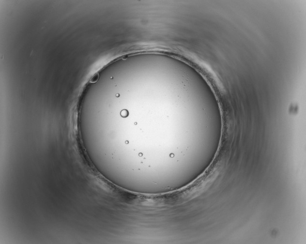 X0000102371365200808151826