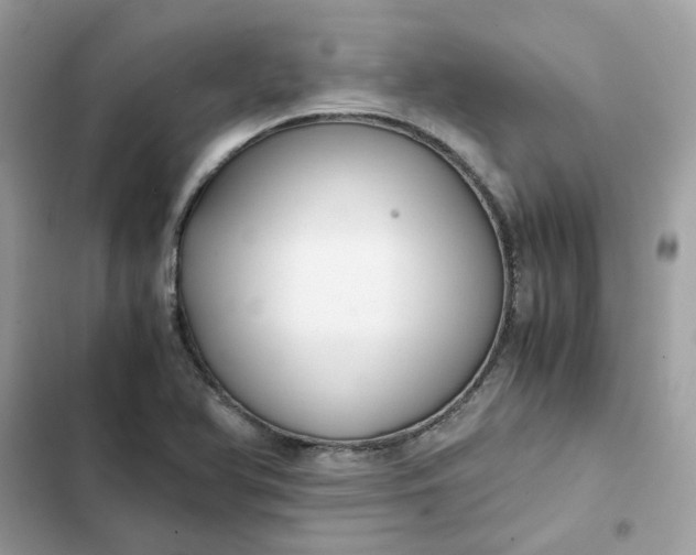 X0000102371366200808151826