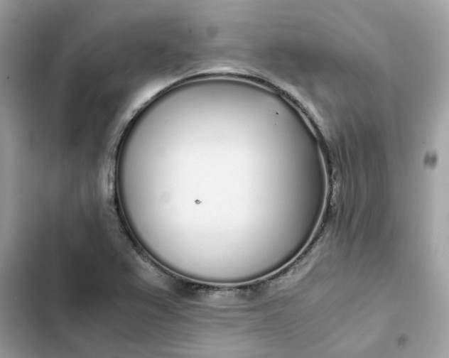 X0000102371367200808151825