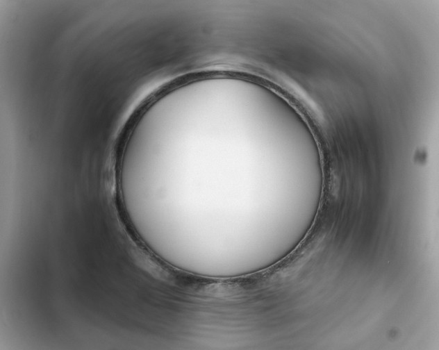 X0000102371368200808151825