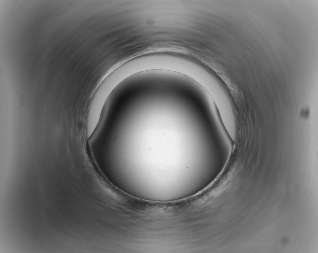 X0000102371369200808151825