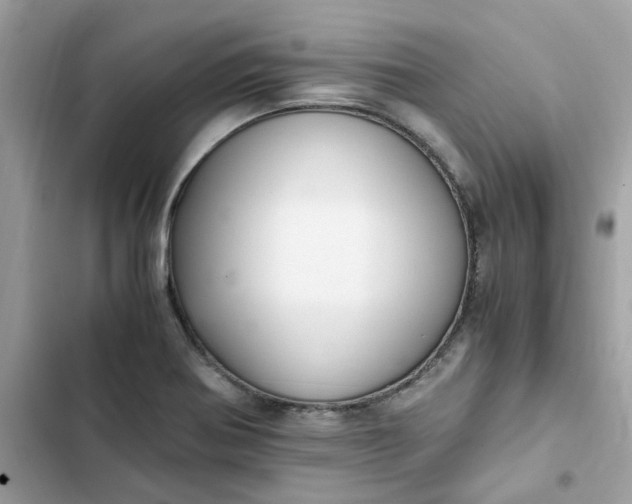 X0000102371370200808151825