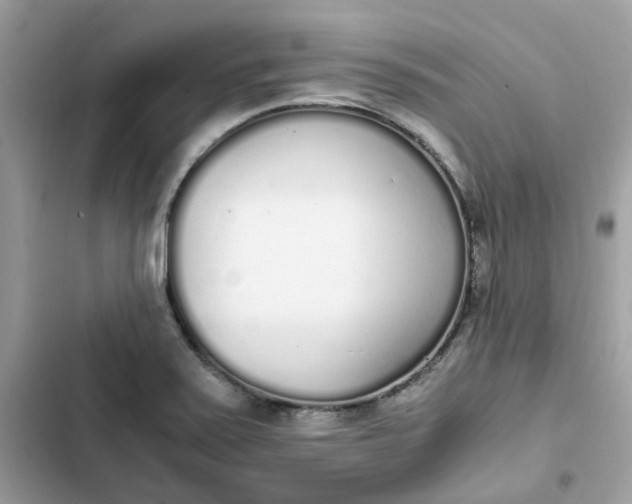 X0000102371371200808151825