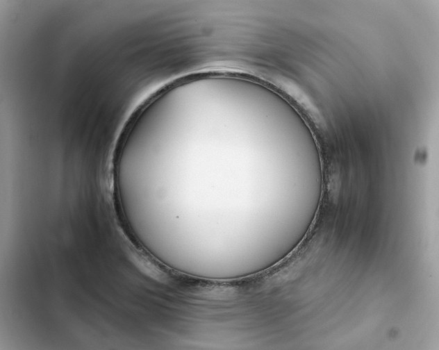 X0000102371372200808151825