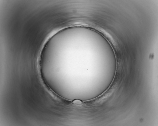 X0000102371373200808151825