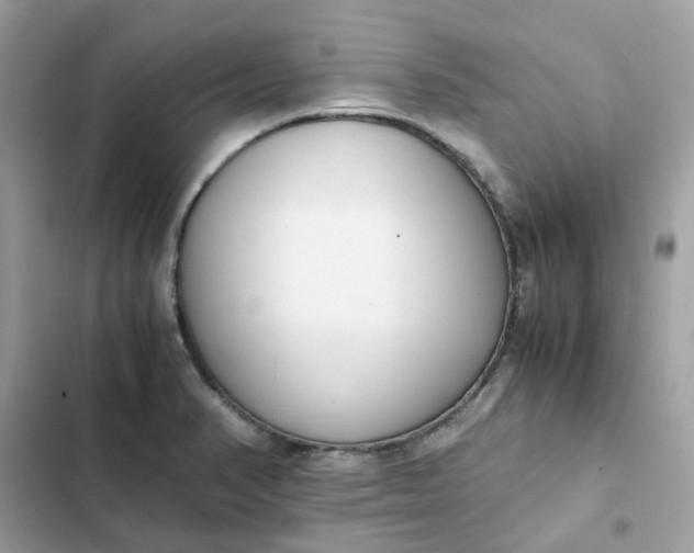 X0000102371374200808151825