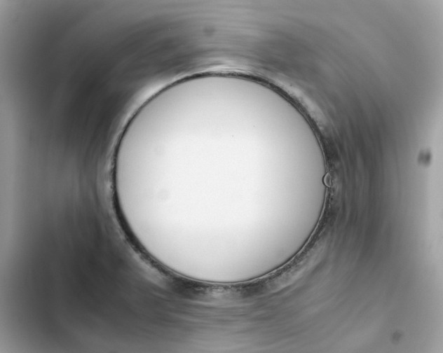 X0000102371375200808151825