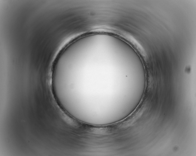 X0000102371376200808151825