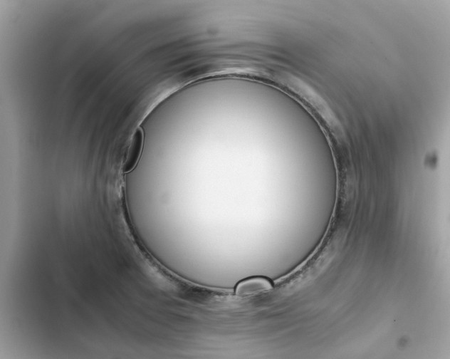 X0000102371377200808151825