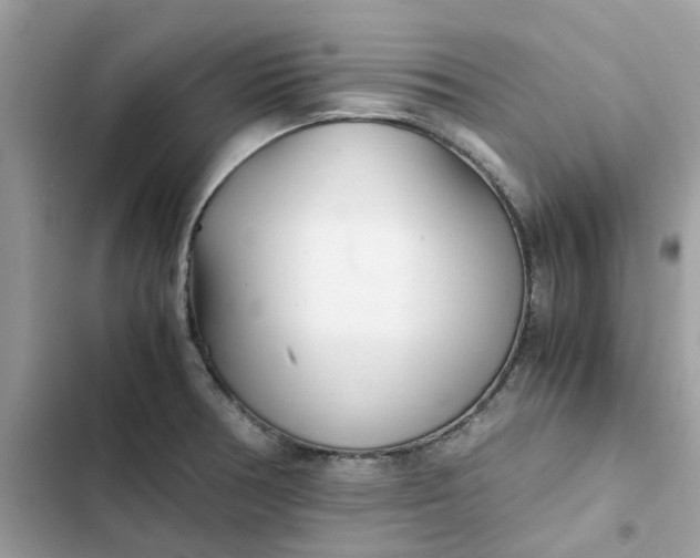 X0000102371378200808151825