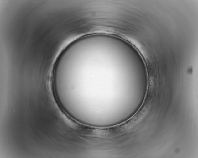 X0000102371379200808151825