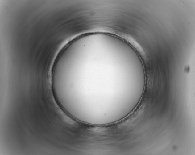 X0000102371380200808151825