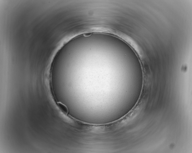 X0000102371381200808151825