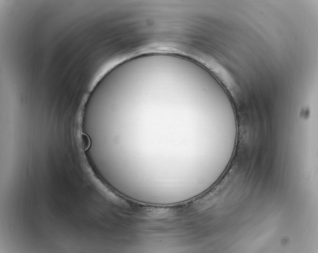 X0000102371382200808151825