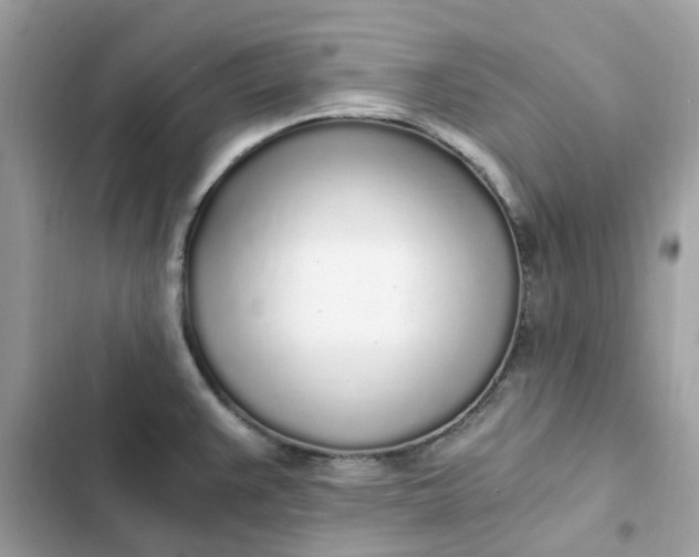 X0000102371383200808151825