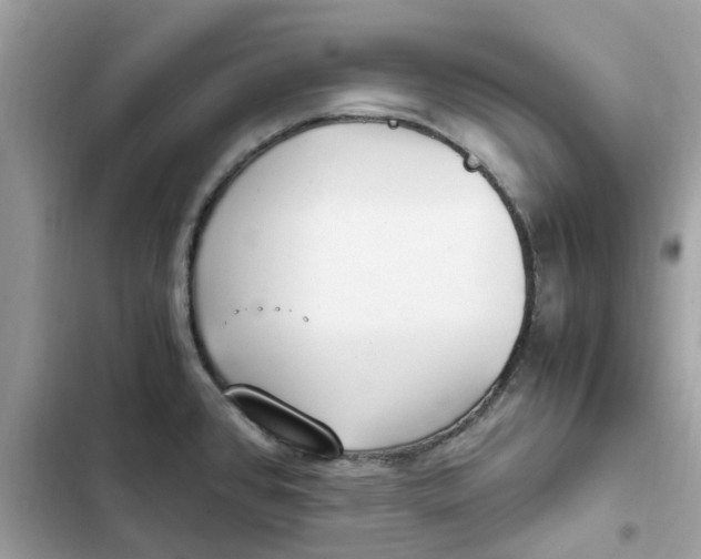 X0000102371384200808151825