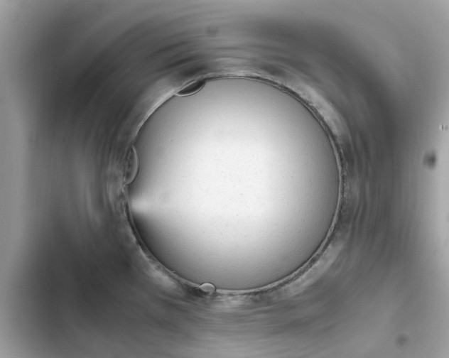 X0000102371385200808151825