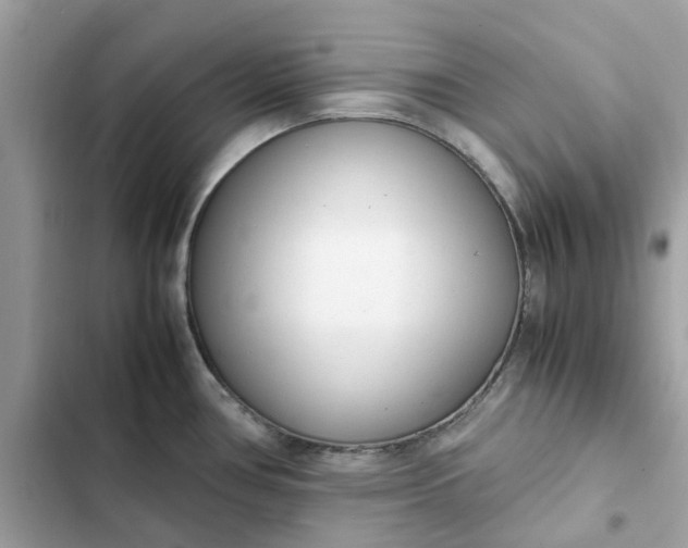 X0000102371386200808151825